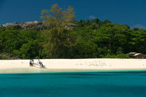 Bird Island